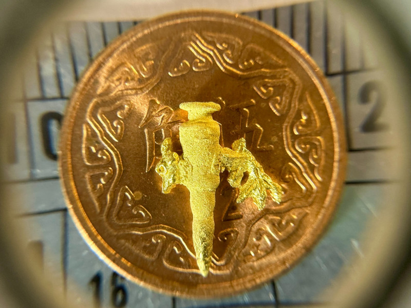 世界最小黃金雕刻作品〈子彈與金魚〉登場。（陳逢顯毫芒雕刻館提供）