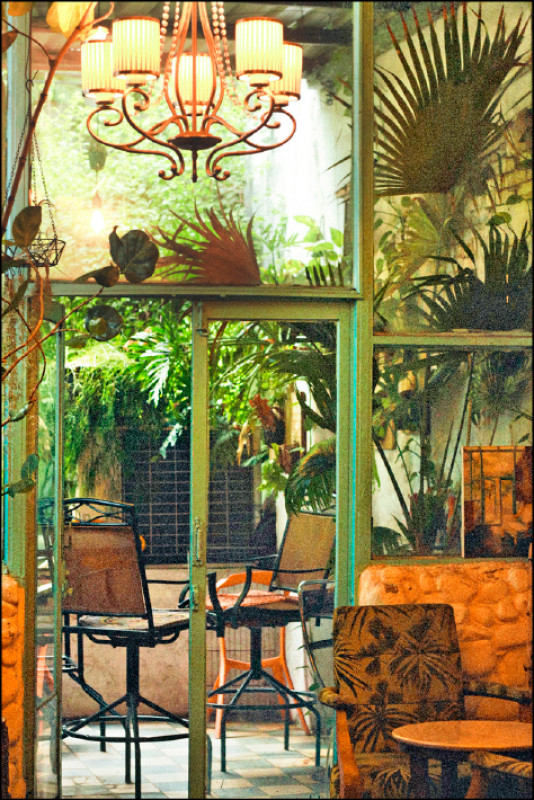 凝流書店生活靠窗的閱讀區。