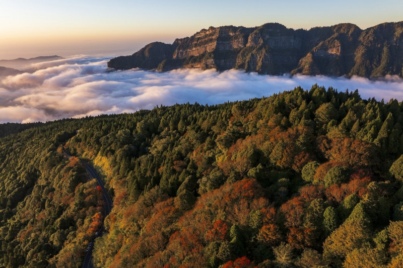 入秋的阿里山天氣逐漸穩定，常見晴空伴隨雲海，是最佳的旅遊季節。（阿里山英迪格酒店提供）