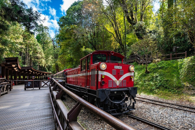 搭乘阿里山森林鐵路支線穿梭林間，沿途流動的風景光影絕美不已。（阿里山英迪格酒店提供）