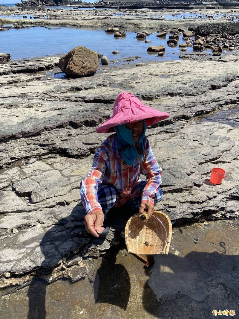 80多歲的馬崗阿嬤海女陳罔市，數十年工作練就一身海女採集好功夫。 （記者周幸叡攝）