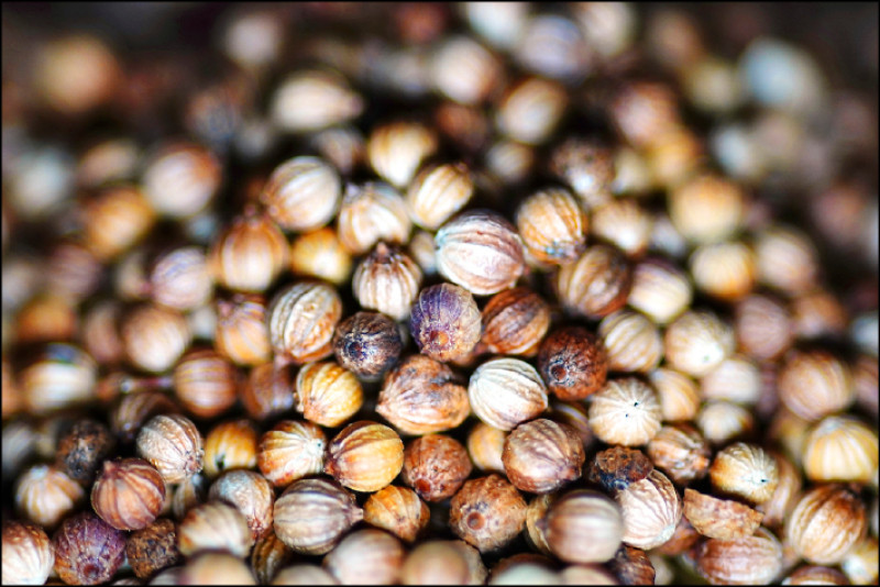 芫荽籽溫潤芬芳，有柑橘與奶香氣息。