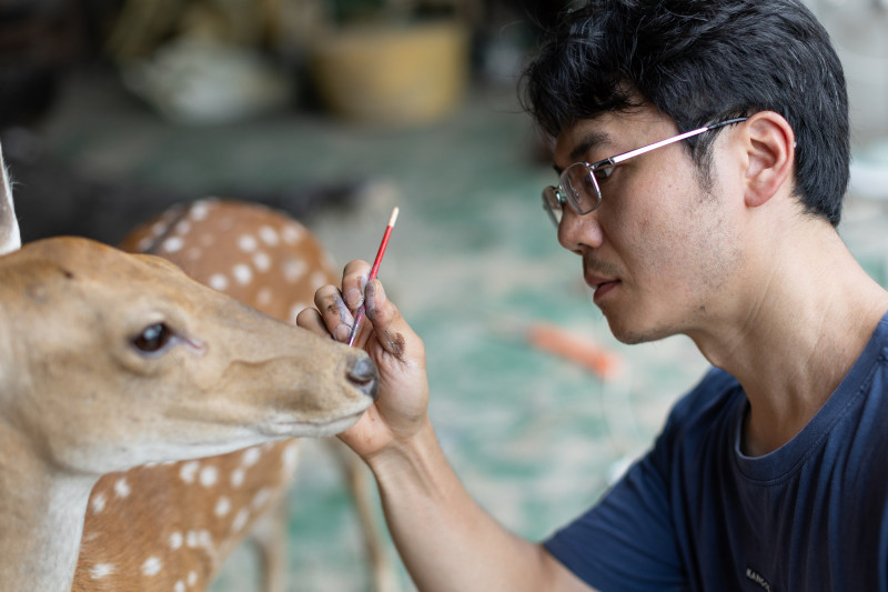 標本師黃雯杰為標本上色。（文總提供）