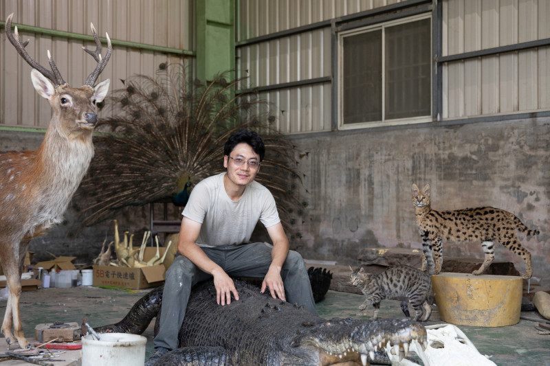 台灣首位獲得藍帶的標本師黃雯杰。（文總提供）