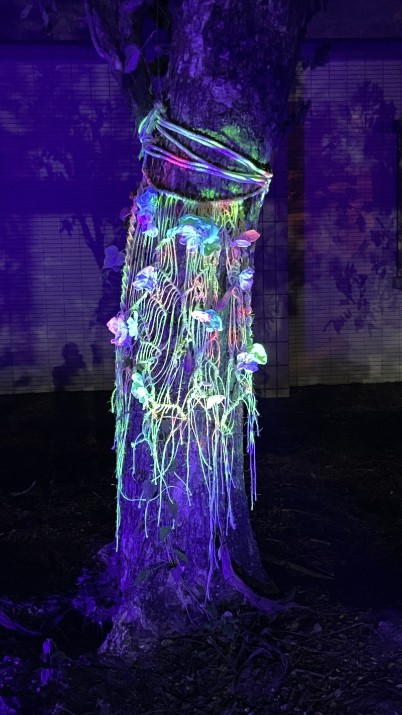 《踅，有光ê所在中》的作品。（南藝大提供）