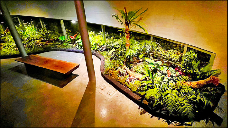 崆書屋的生態植物園區。