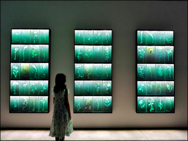 佐佐木類2024年作品〈記憶的沉睡〉。