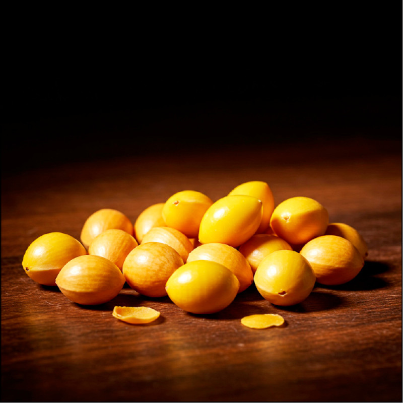 銀杏果實性溫收斂，溫肺止咳，適量食用，少即清雅，多則成毒。