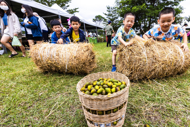 發現寶山之美攝影比賽中，人文類冠軍王弈婷〈童趣〉。（寶山鄉公所提供）