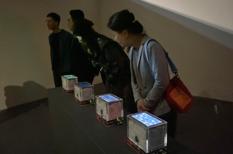 觀眾看展，感覺新奇。（蕭壠園區提供）