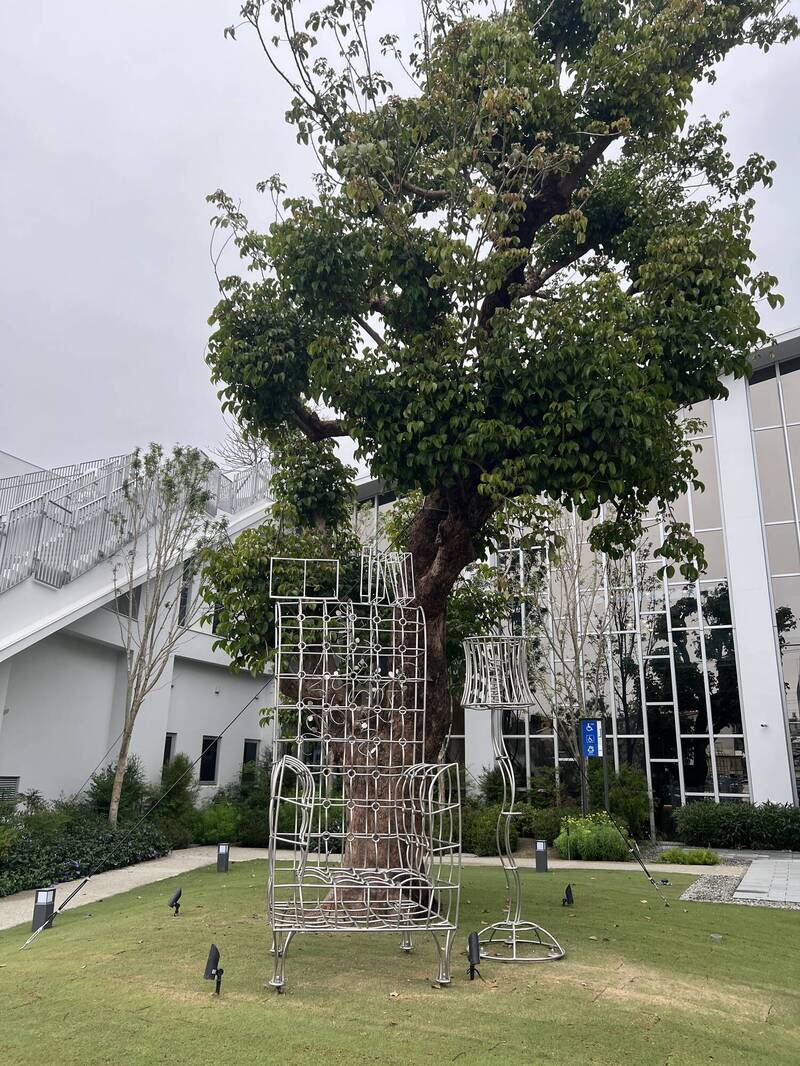 許良宇圖書館百年茄苳樹已長出新芽，裝置藝術椅子相當吸睛。（記者廖耀東攝）
