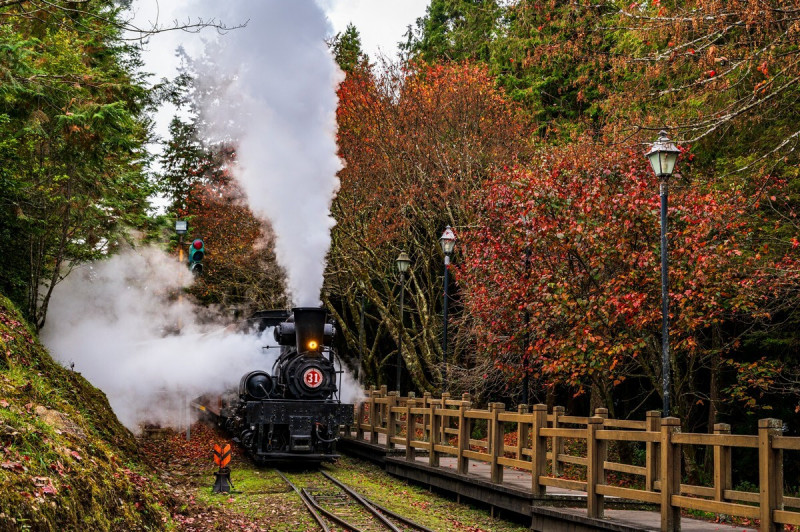 SL31號機關車經過對高岳車站。（黃源明提供）