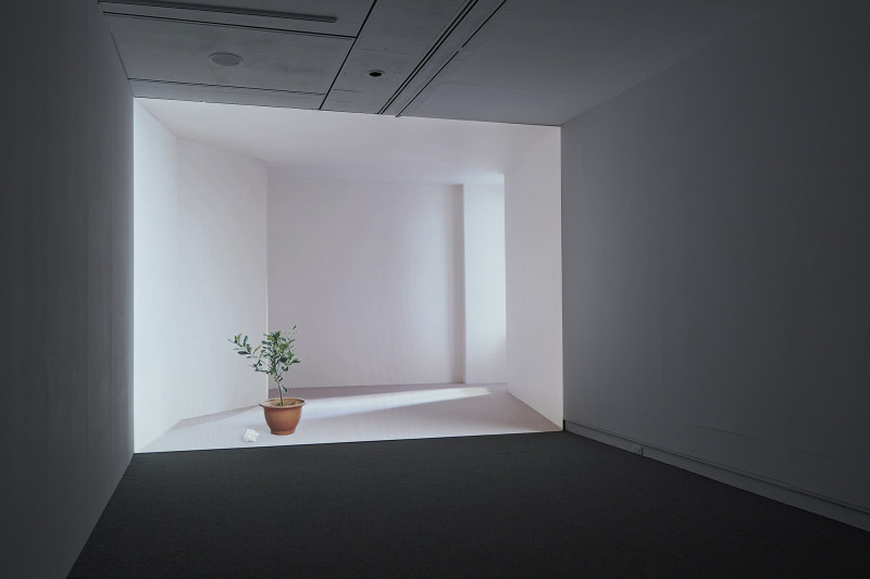 王雅慧《日光下的靜物》錄像裝置，4分36秒。2005。台北市立美術館典藏。（北美館提供）