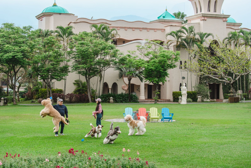 理想大地於2025年獲PetFAC寵物友善金級認證，春節期間推出萌寵同樂住房專案。（理想大地渡假飯店提供）