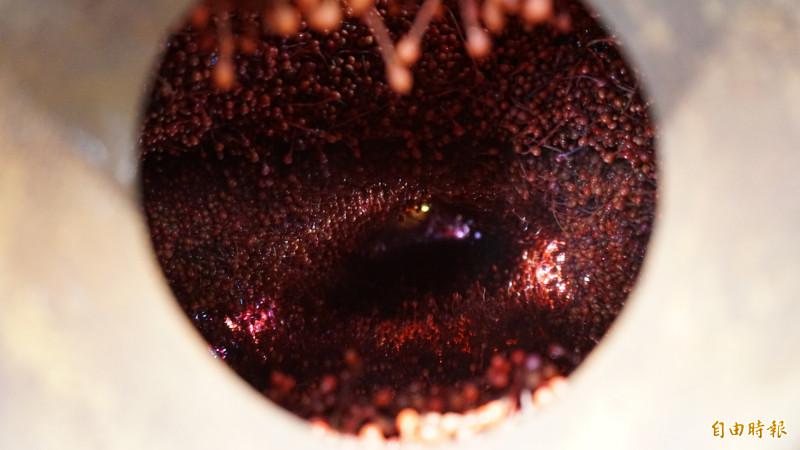 貝塔克恩・帕塔諾帕斯〈周而復始 1〉（局部），鐵，複合媒材、LEG燈，120×120公分。2012。（記者董柏廷攝）