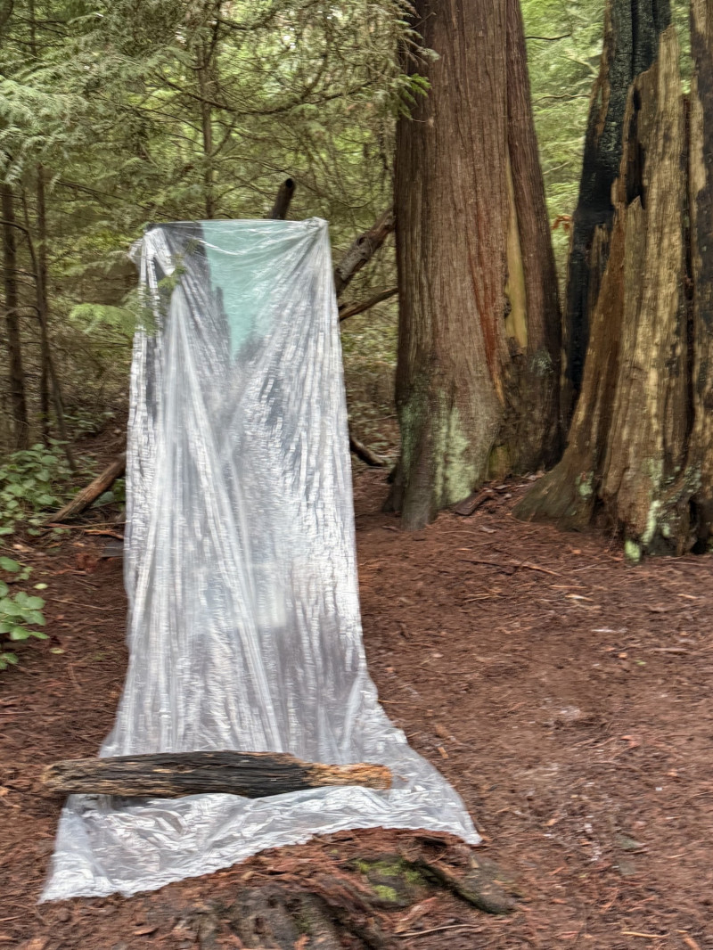 湯劍台將畫到一半的作品用塑膠布遮起，但他說作品所使用的材料可抵擋風吹日曬，也不怕下雨。（湯劍台提供）