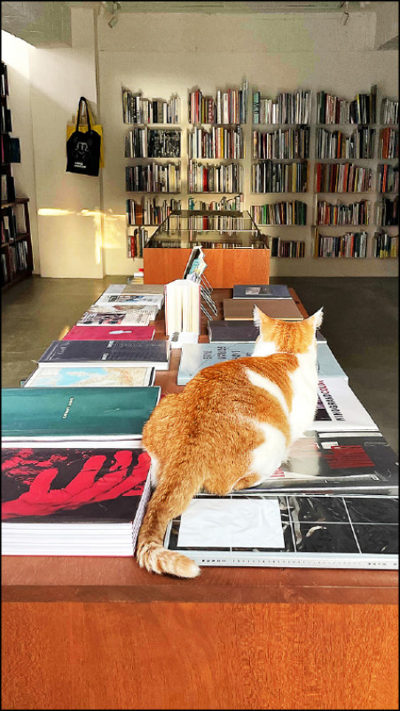 moom bookshop店內一隅。