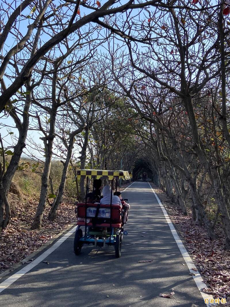 租單車或電動敞篷車，徜徉17公里海岸線。（記者周幸叡攝）