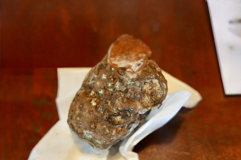 原住民傳統植物薯榔，可染出紅褐色的色澤。（屏東縣政府提供）