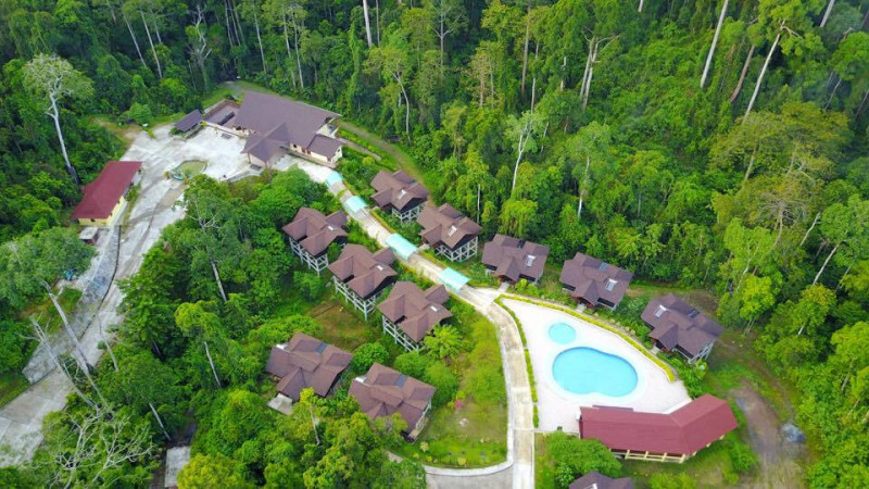 MY Nature Resort鄰近多個自然生態保育園區，是遊沙巴州雨林極佳的住宿點。（MY Nature Resort提供）