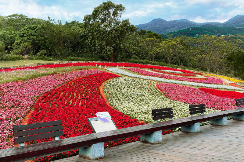 入住北投順遊三層崎公園，為近郊小旅行增添繽紛花彩。（北投麗禧溫泉酒店提供）