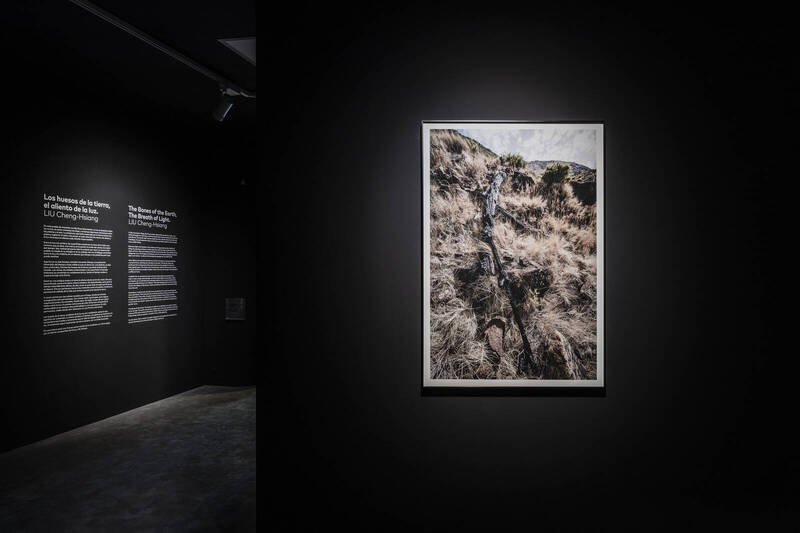 劉呈祥作品〈Still Light〉。（劉呈祥、文化部提供）