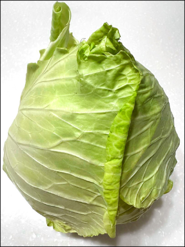 外形呈尖錐狀、葉片蓬鬆、掂起來重量輕的高麗菜，比扁平厚實的高麗菜口感甜脆。
