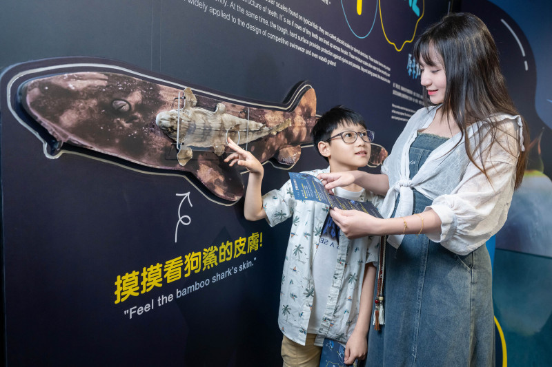 藉由觸摸鯊魚表面的盾鱗結構，感受其如何透過細緻排列降低水流阻力。（Xpark提供）