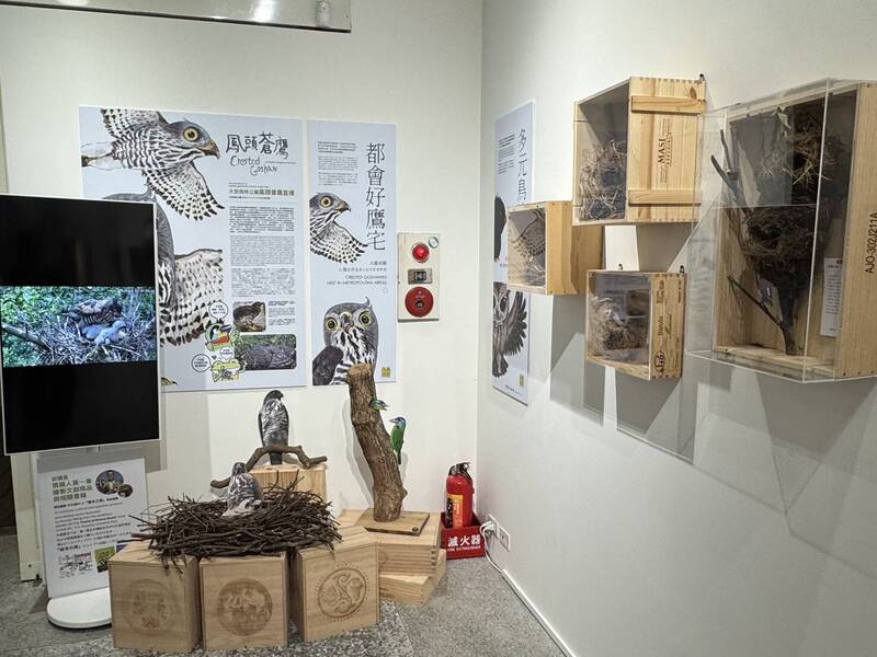 生態作家黃一峯「你的城市我的家」城市鳥巢展，帶領民眾從35個鳥類的「家」，發現鳥類在現代城市生存的智慧與巧思。（自然野趣、中央社提供）