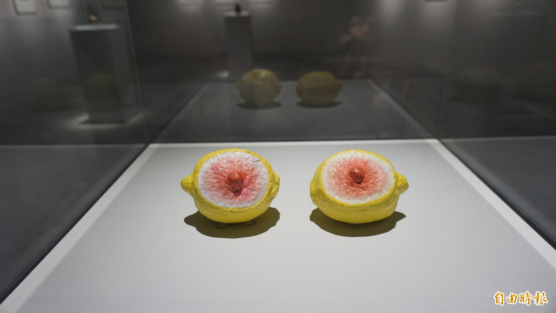 把彩色蠟製人體切片裝盒!北美館超現實展「慾望之體」大膽 看女性藝術家撕爛父權標籤