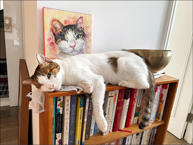 【自由副刊．書與人】 人應該怎樣帶著受傷的記憶活下去？ － 韓麗珠談《裸山》