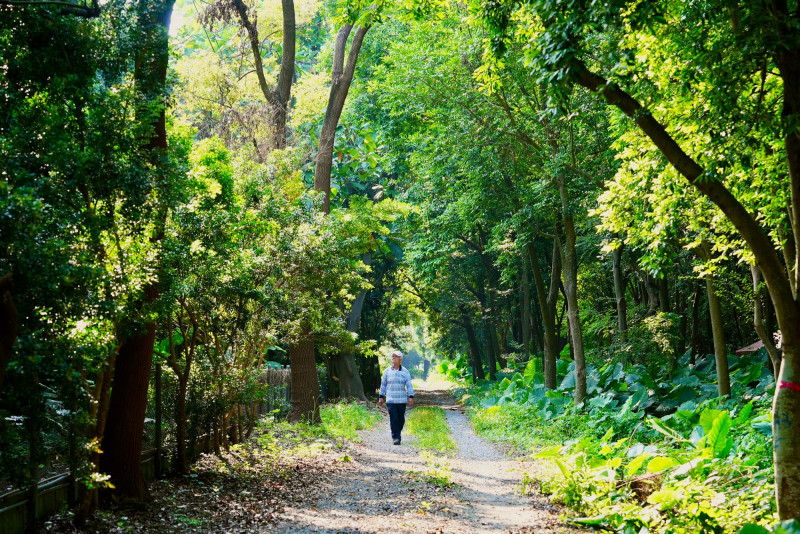 30年種5千棵台灣原生樹種！  81歲國寶作家「植」人精神是他