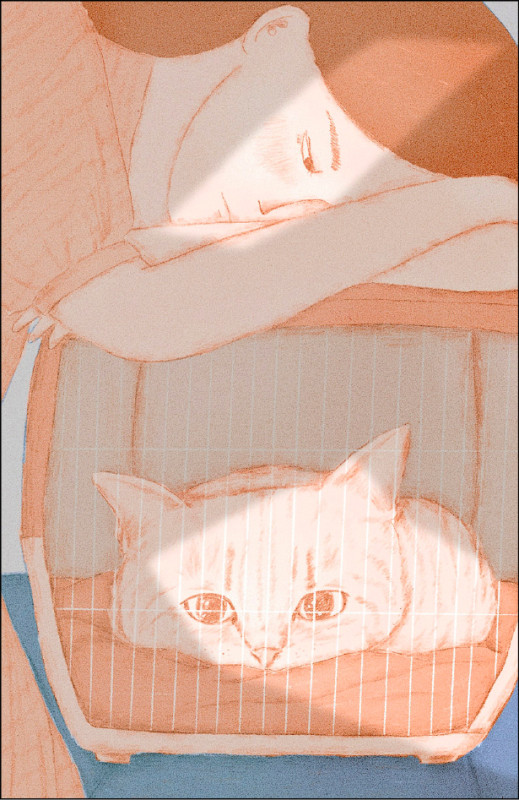 【自由副刊】崔舜華／虎斑色的病