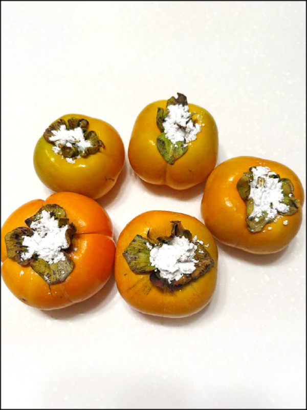 【家庭plus．四季好食】就愛吃軟不吃硬