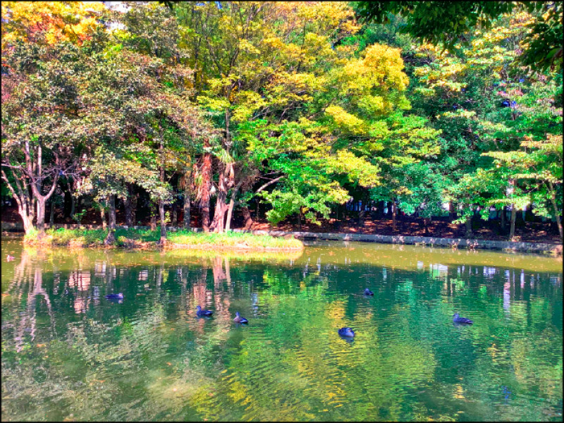 【家庭plus．微幸福案內】腦袋短路 發個呆重開機