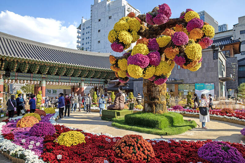 別只衝明洞！BTS、李孝利都著迷「寺廟旅宿」 MBTI盲選「命定避風港」旅行更有哏