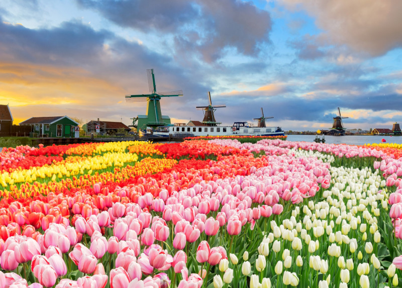 2026年旅遊市場萬馬奔騰  打算出國旅遊先掌握這些旅遊趨勢