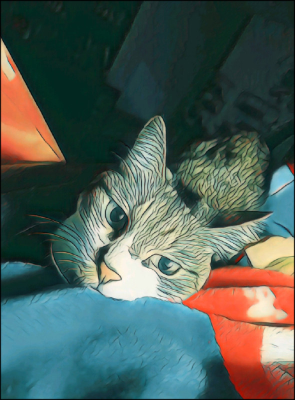 【家庭plus．柴米油鹽】愛的能量 讓人安心