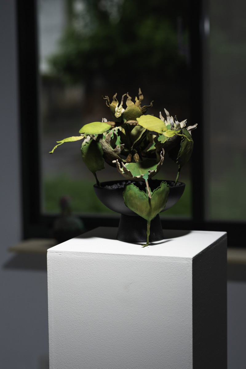 蟲蟲變變變！陳家邦「安棲之所」 雕出微觀世界的生存縫隙