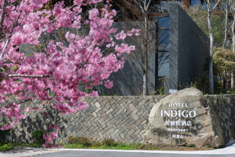 春日散策徜徉山城  阿里山英迪格酒店邀旅人賞櫻