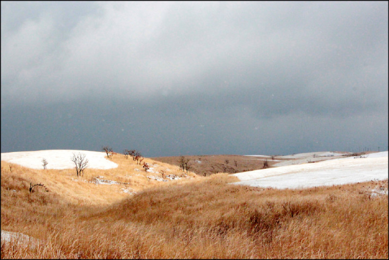 【家庭plus．另一種生活】資訊洪流 啟動數位冥想