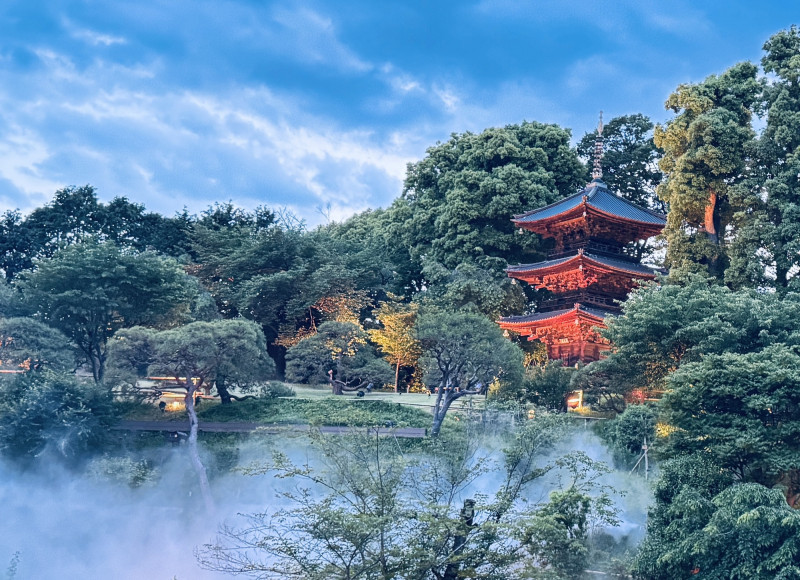 東京都內居然能看到雲海？