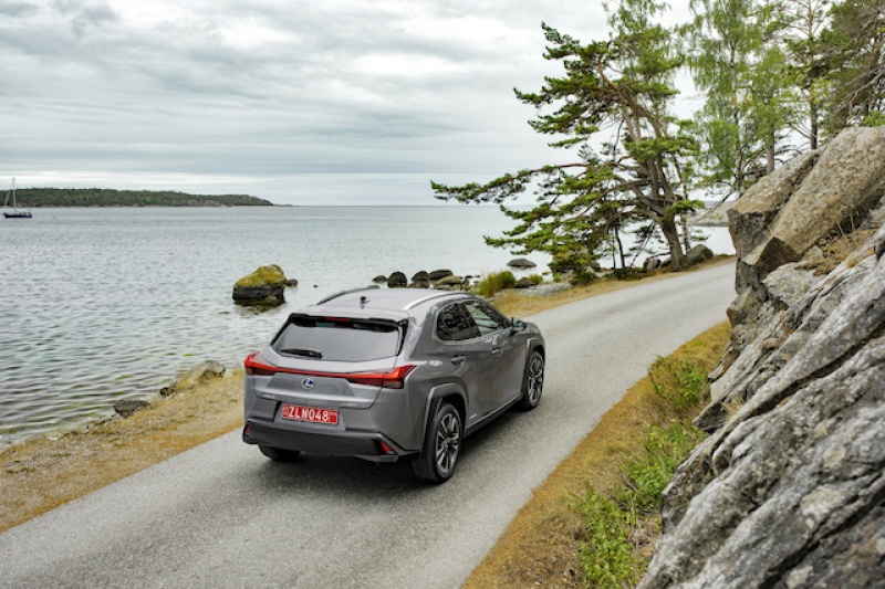 Lexus UX 250h