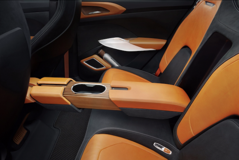ŠKODA VISION IN concept