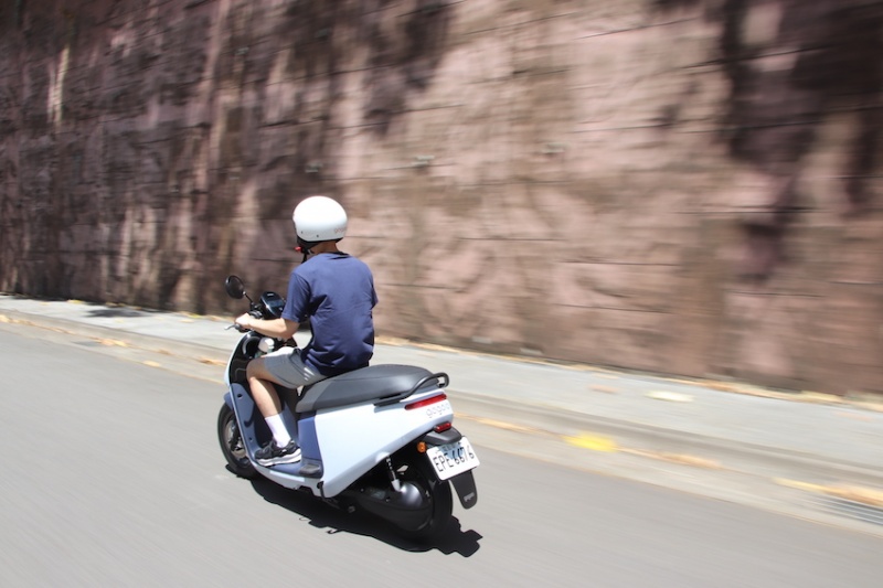 Gogoro Viva XL