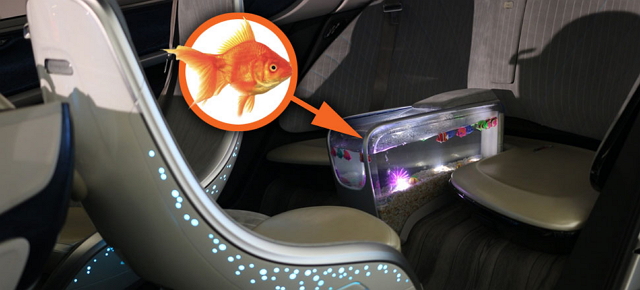 真的從來沒看過能夠在車內養魚的汽車，魚真的能活嗎？（圖片來源／Jalopnik）