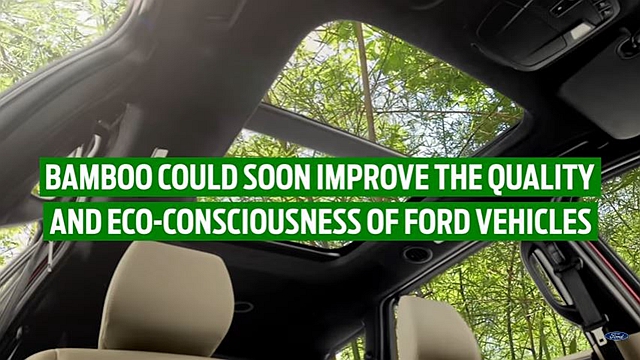 天然的竹子有望成為內裝材質？中國 Ford 團隊正在研究中。