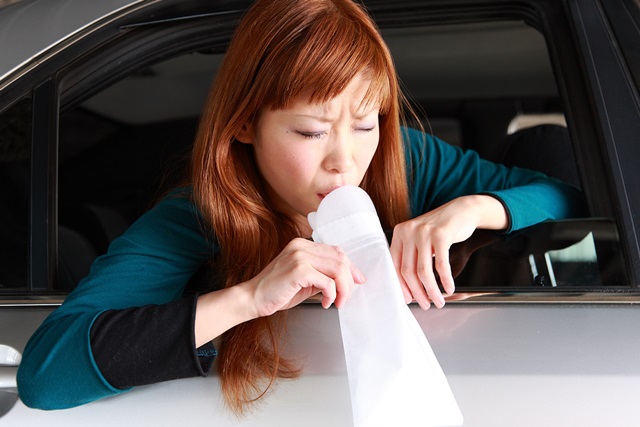 造成暈車與平衡感有絕對關係，而平衡感是由視覺、耳朵、身體感覺所構成，只要這三部分不同步，就容易造成暈車。（圖片來源：截取自 Whichcar）