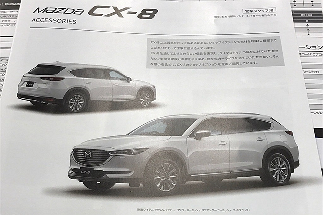 延續 Mazda 的「 Soul of Motion 」設計理念， CX-8 外觀延續旗下 CX 系列休旅的面容設計，前/後細長燈具造型，營造相當前衛的氣息。