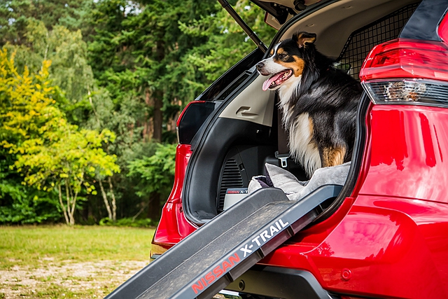 先導的 Nissan 4Dogs 概念套件，在後箱改造後提供毛小孩專屬的休息空間，以及減少寵物在車內亂竄的問題。